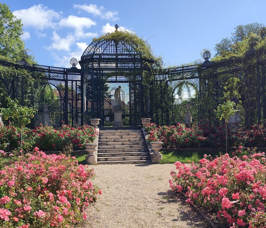 Déambulation au parc de la Roseraie 3
