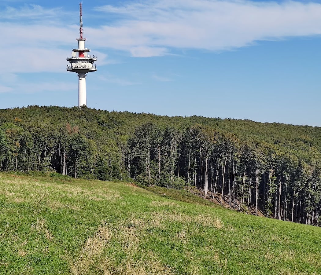 Sophienalpe 3