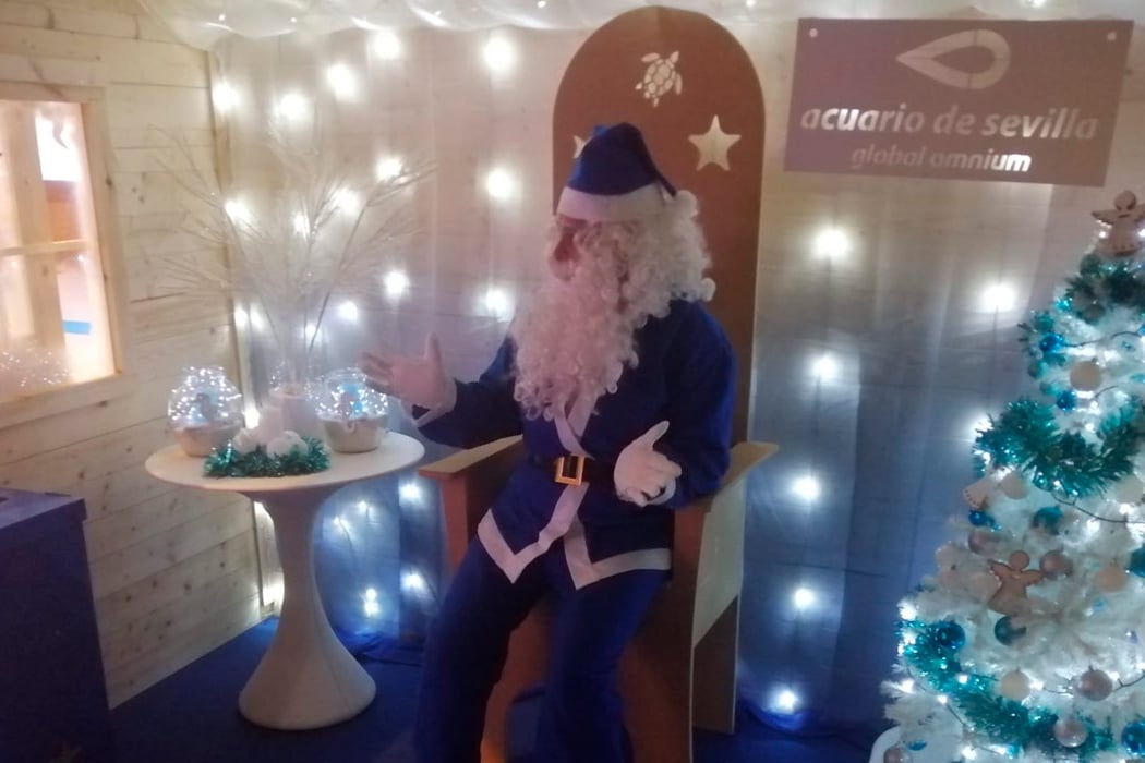 Visita a Papá Noel 1