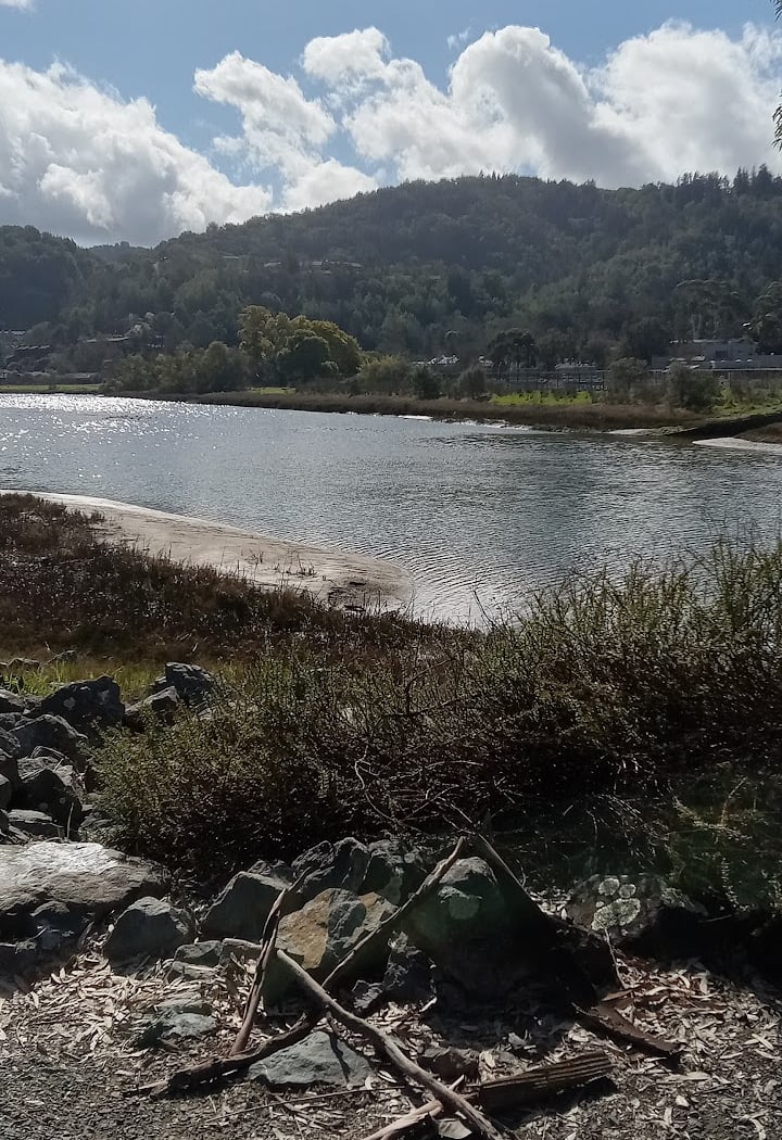 Kentfield 2