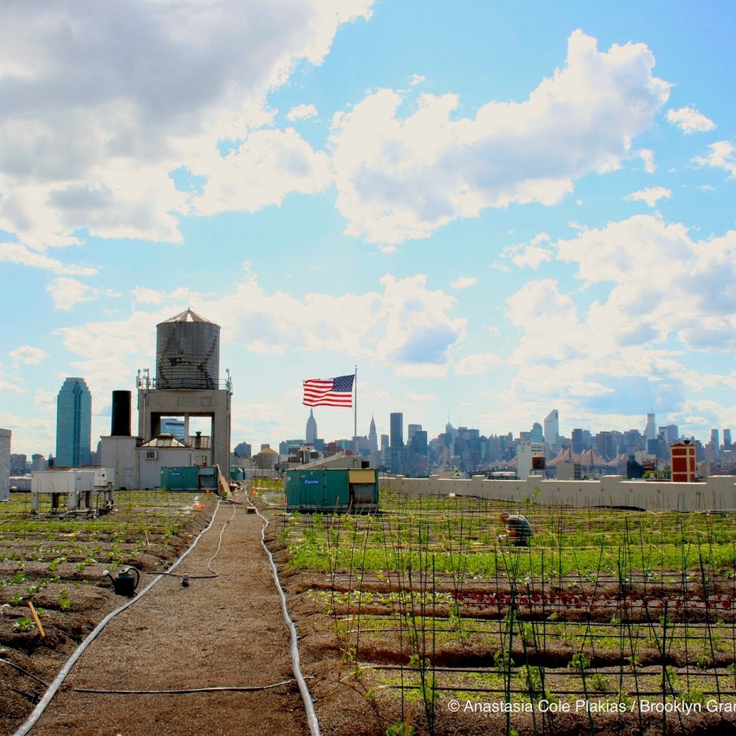 Sky Farm LIC by Variety Boys and Girls Club of Queens 1
