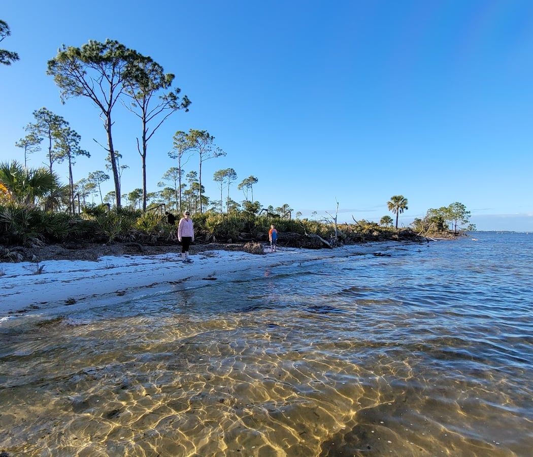 Shell Island 3