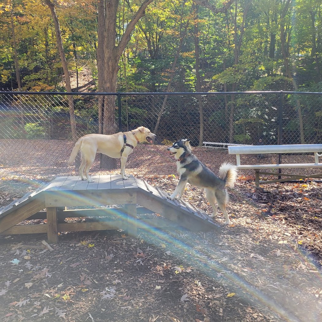 Peekskill Dog Park 1