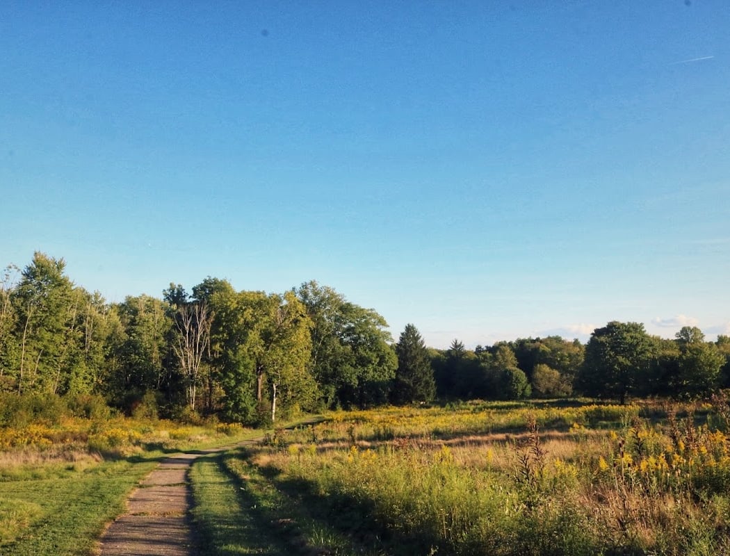 Paddock River Preserve 3