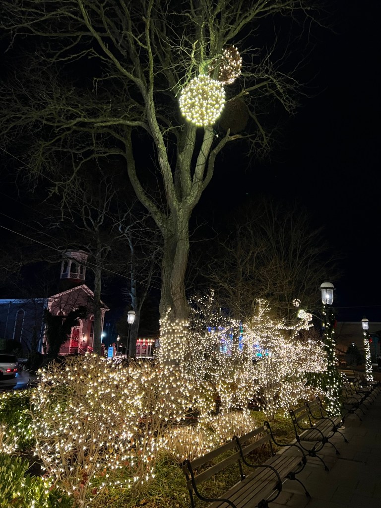 Cape May Rotary Park 3