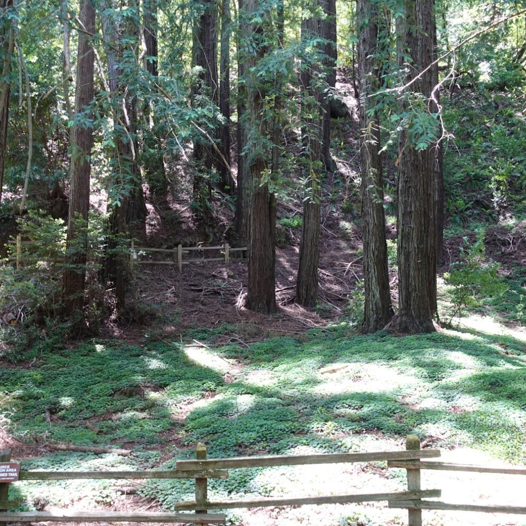 Canyon Meadow Staging Area 2