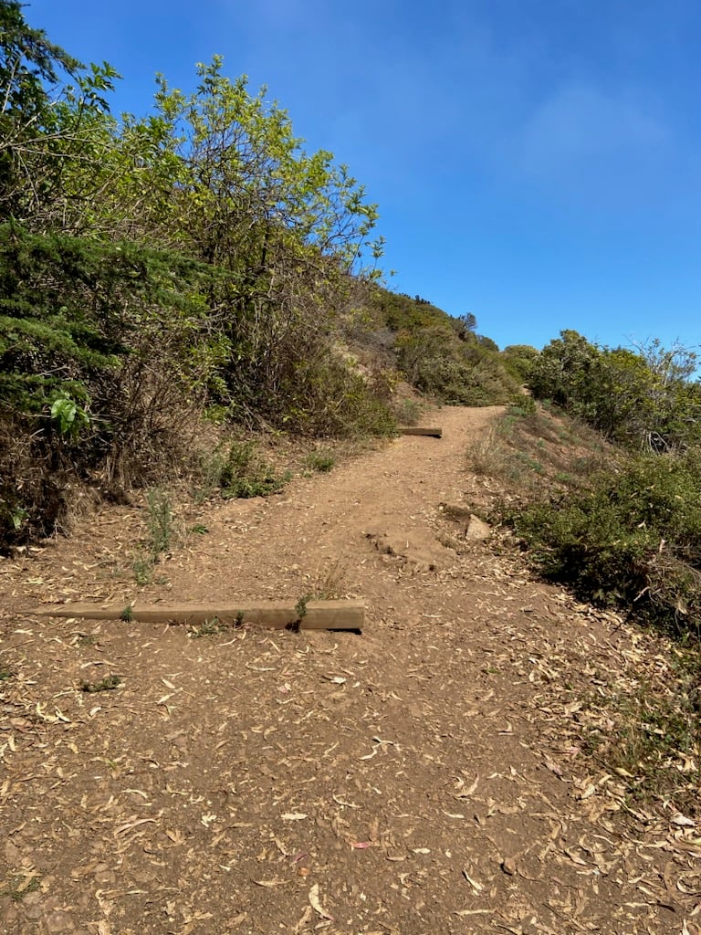 Mount Davidson Paved Path 1