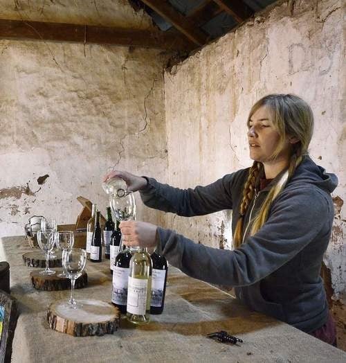 Harvest Wine Tours 3