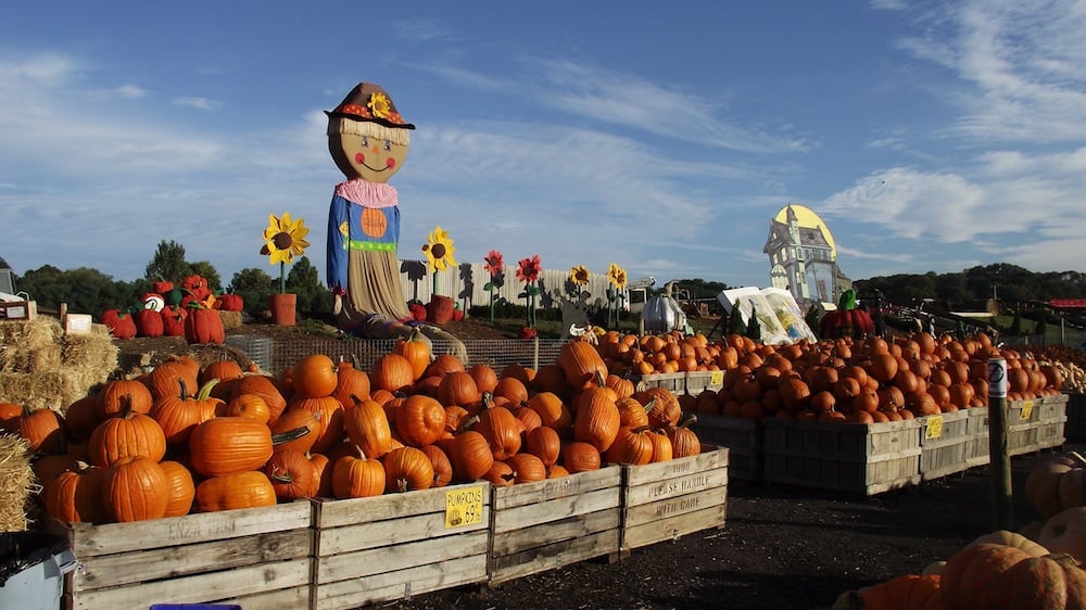 Linvilla Orchards 2