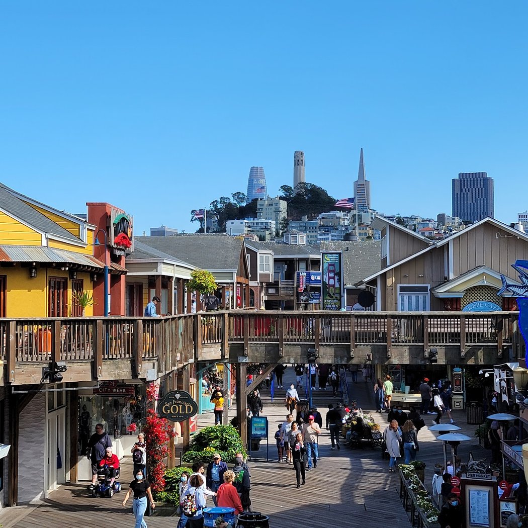 Skip The Bus: San Francisco By Luxury Van Tour 2
