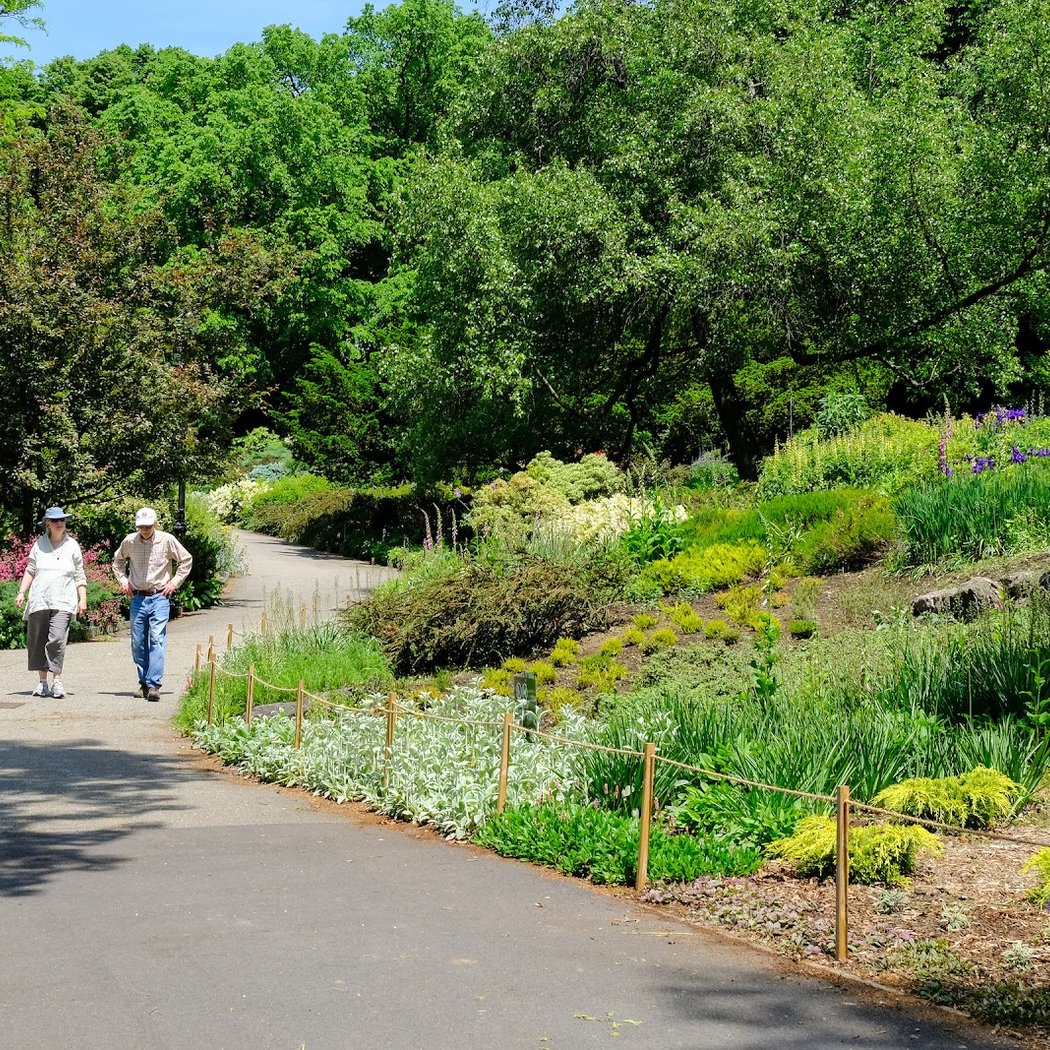 Heather Garden 2