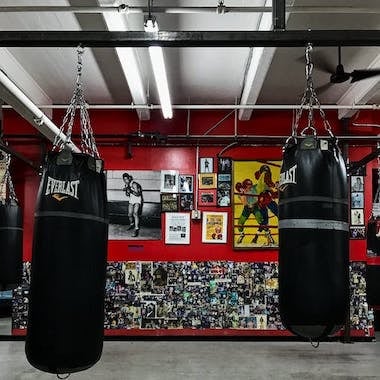 Gleason's Gym 3