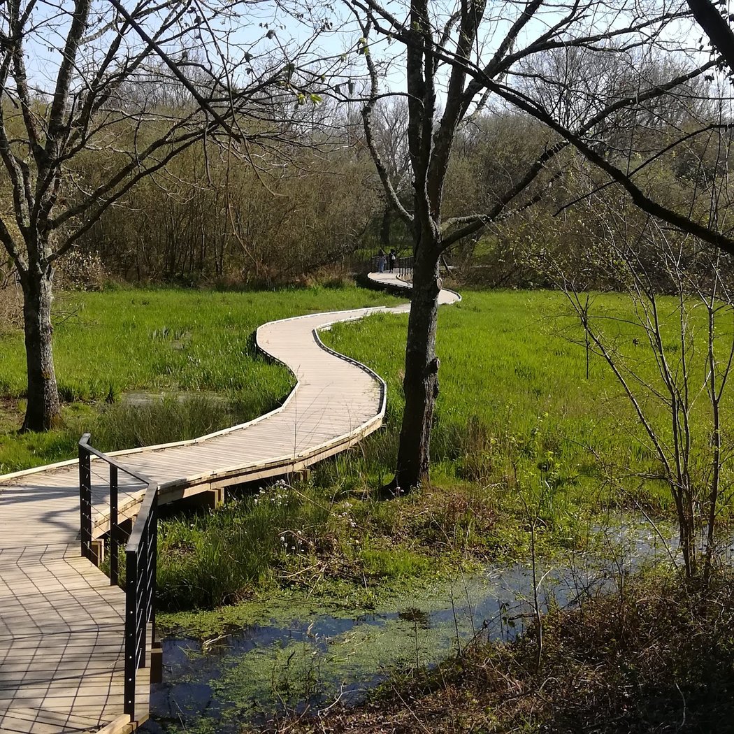 Passerelle de l'étang Hervé 2