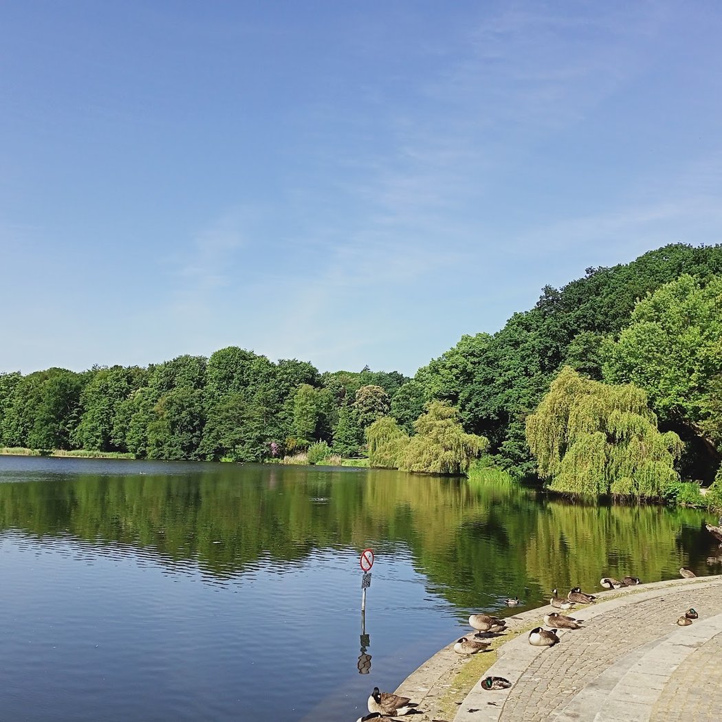 Harburger Stadt Park 3