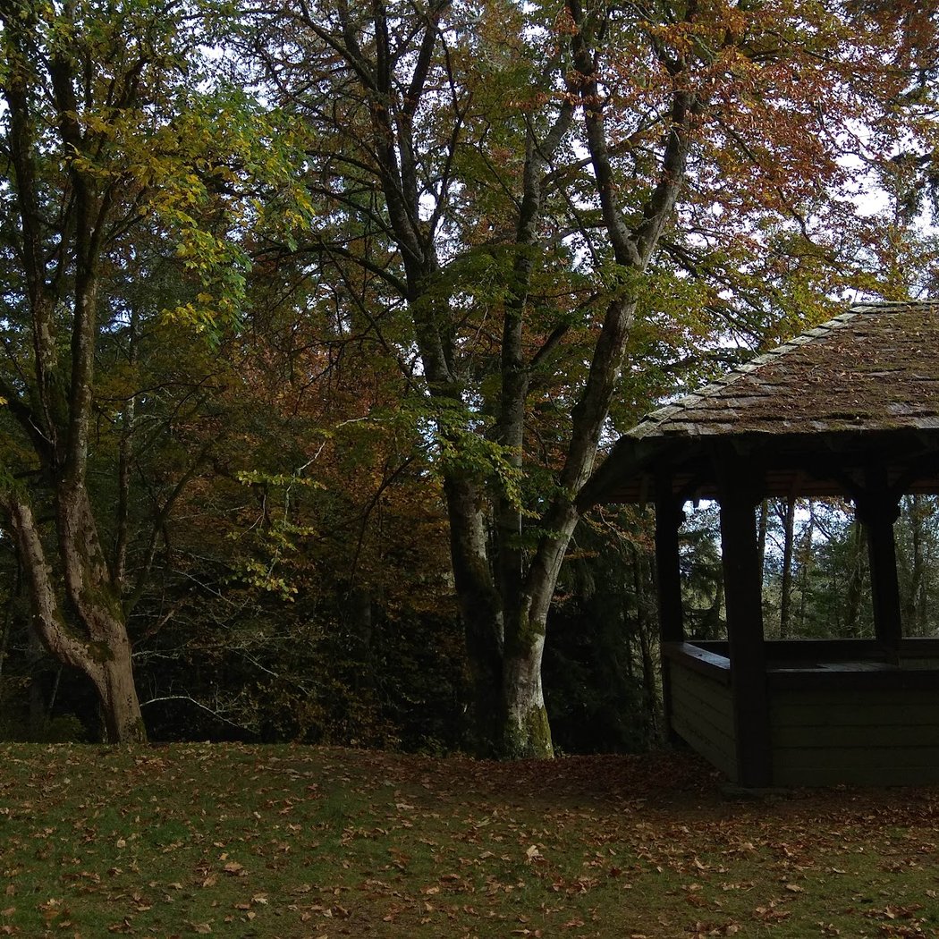 Shively Park 2