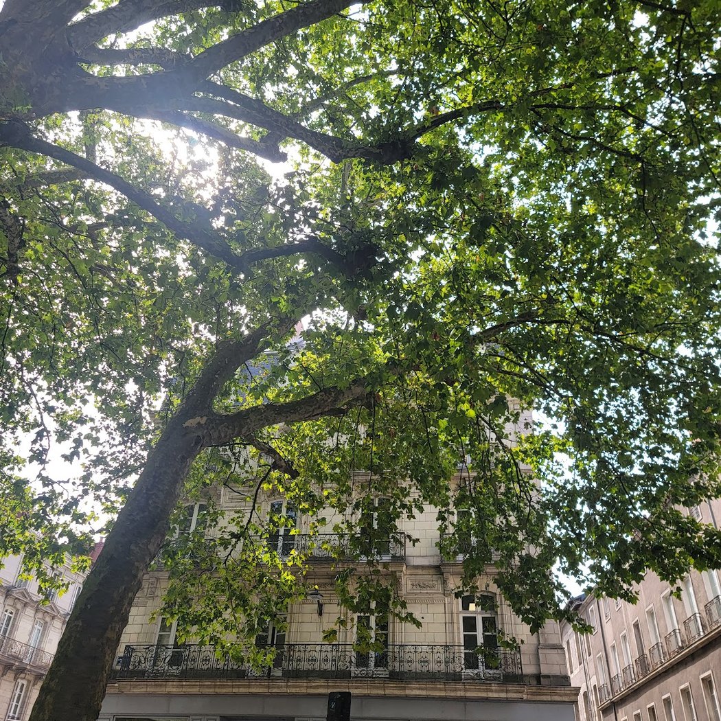Vos propositions de balades commentées pour l'été 2