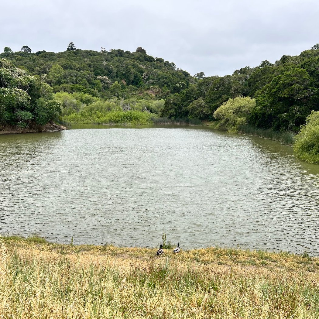 Waterdog Lake & Open Space 2