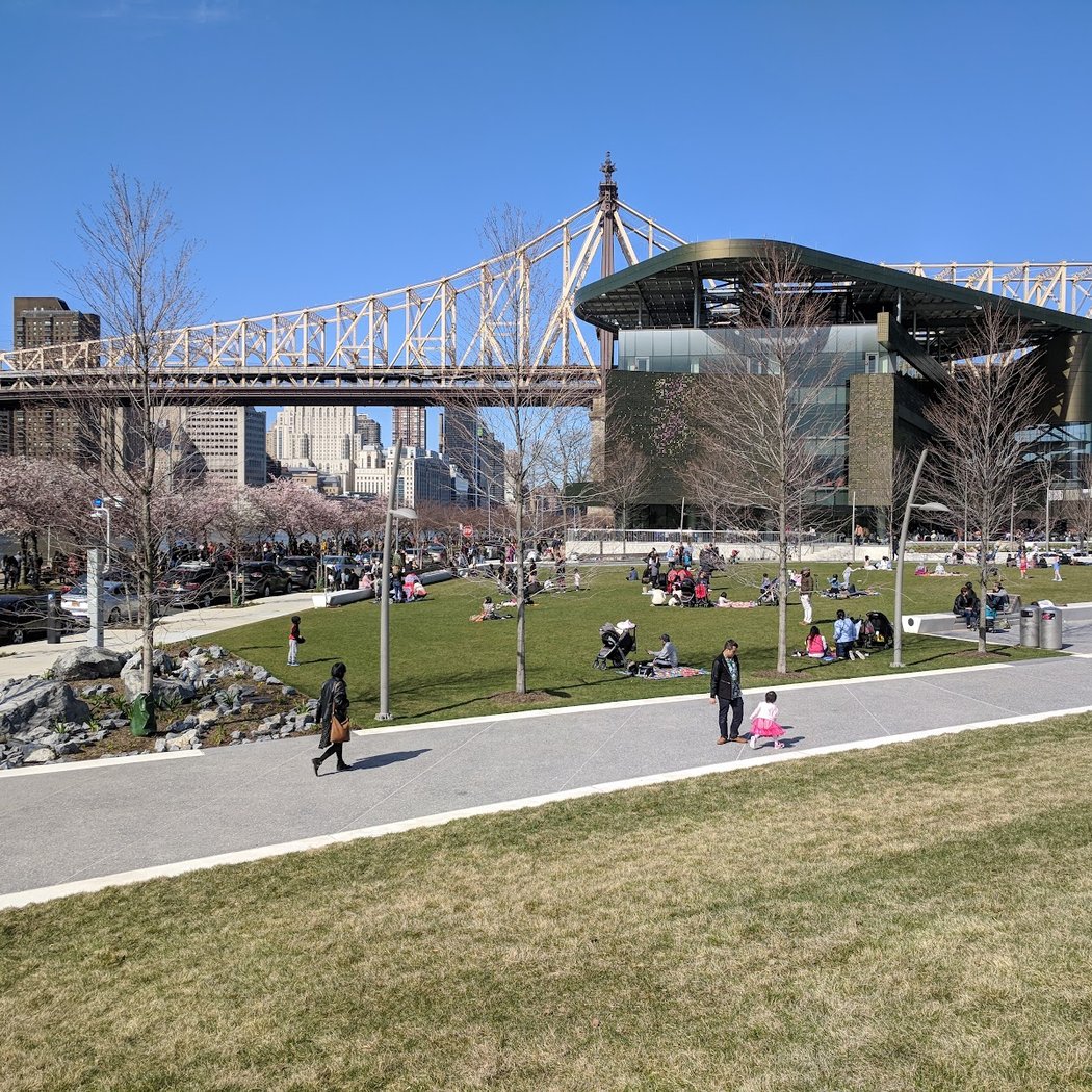 Roosevelt Island Operating Corporation 2