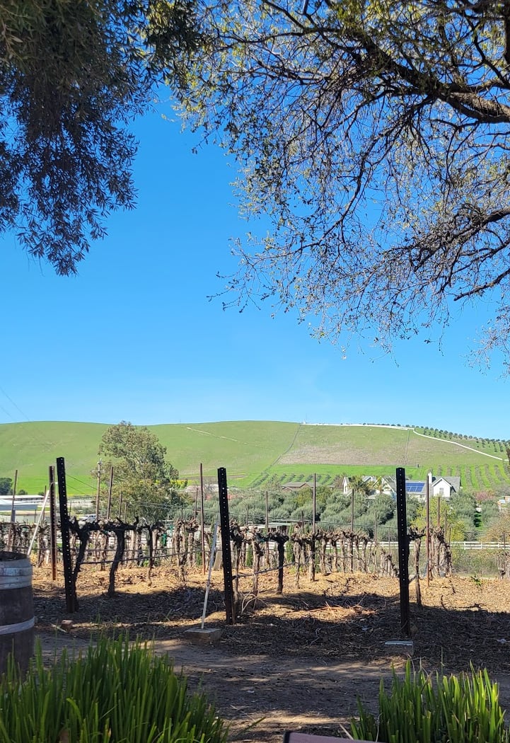Wine Tasting 3