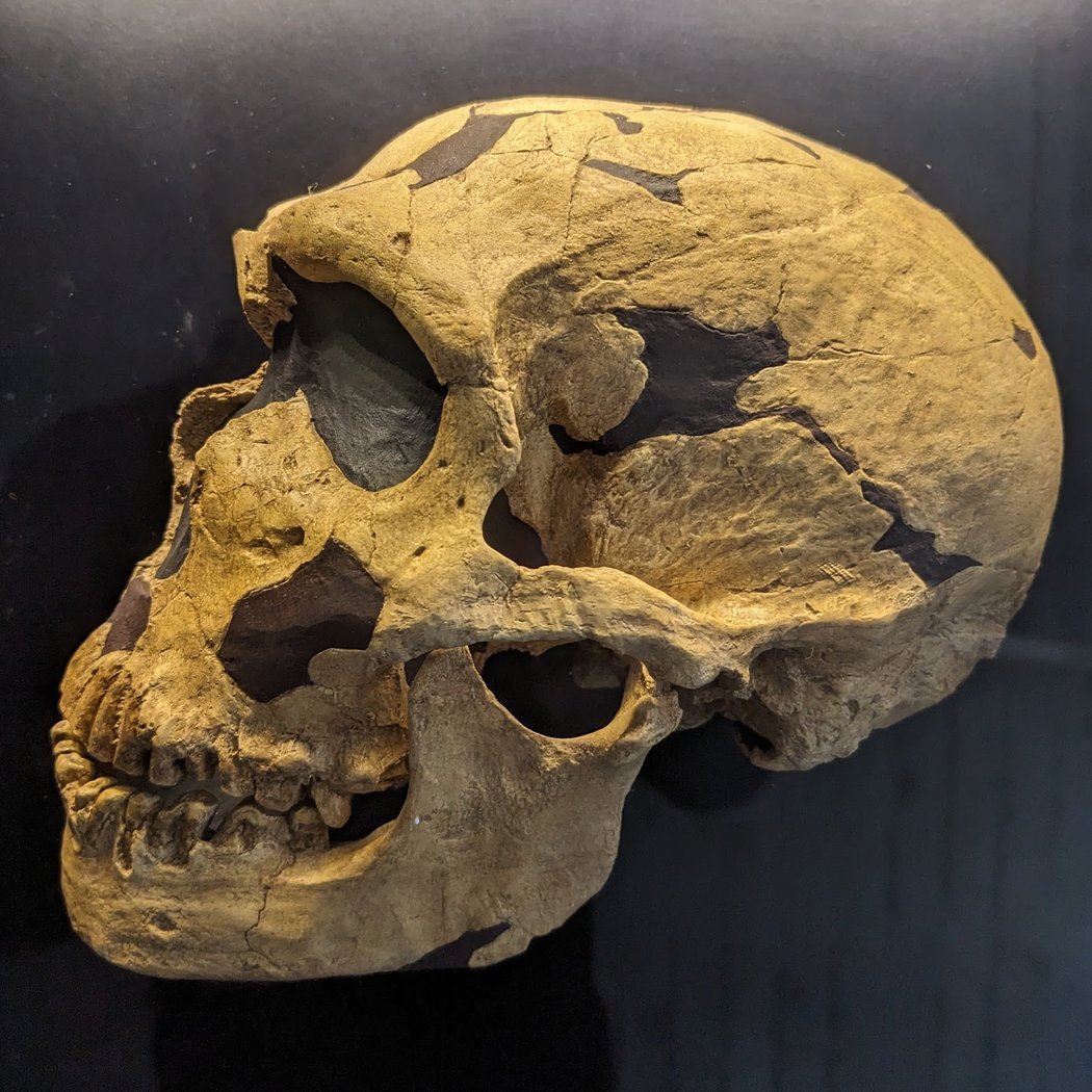 Le moulage d'objets archéologiques 1