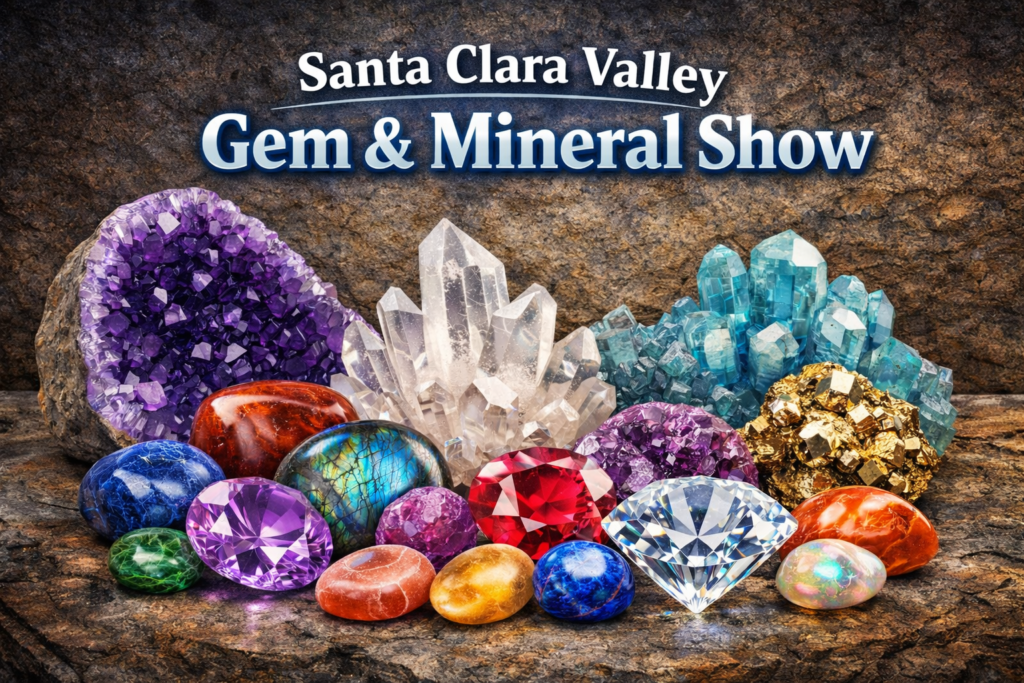 Santa Clara Valley Gem and Mineral Show 1