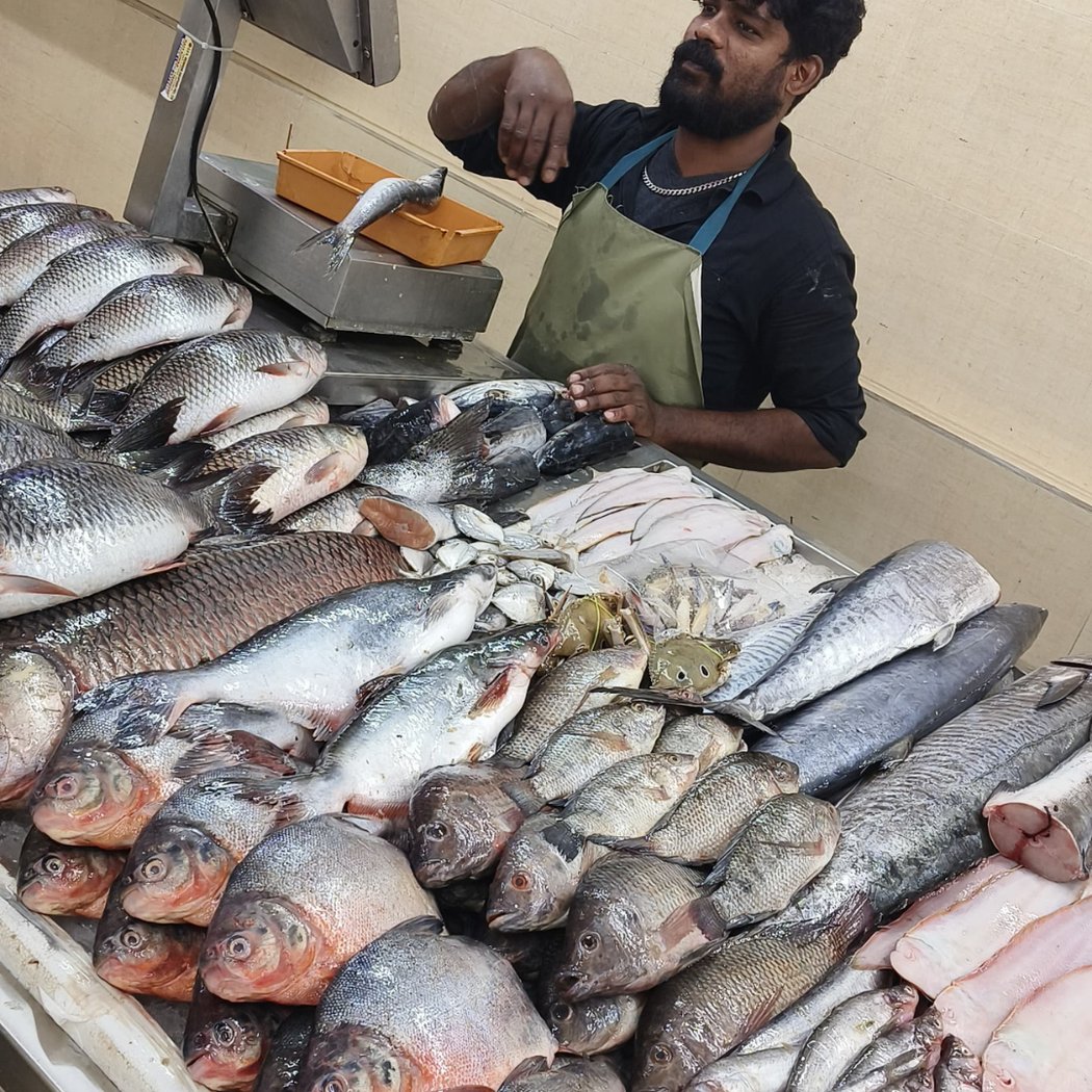 HSR Fresh Fish 1