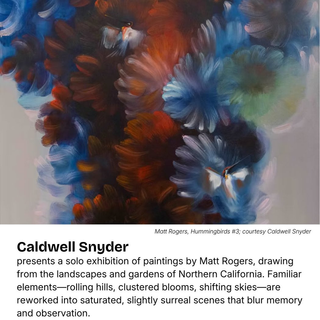 Exhibition by Matt Rogers 1