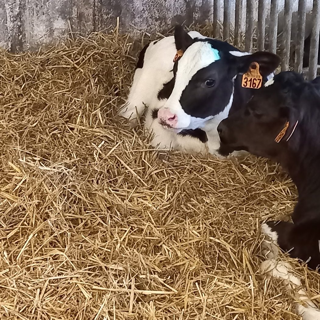 Pâques 2026 : chasse aux oeufs à la ferme pédagogique 3