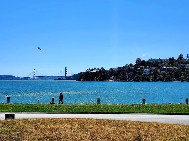 Tiburon Uplands 2