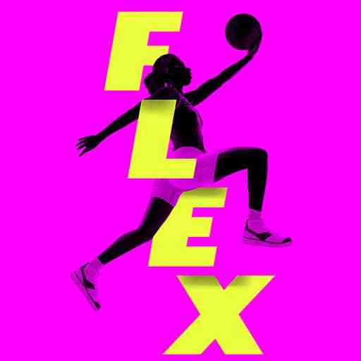 Flex - Theatrical Production 1