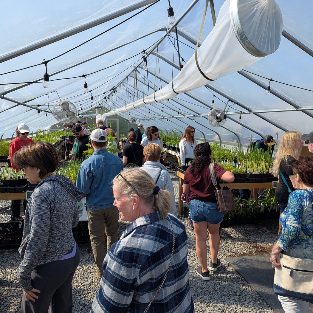 Native Plant Work Days 2