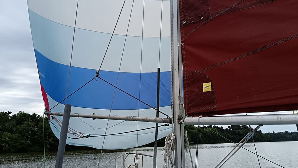 Les Samedis Solidaires de l'Erdre