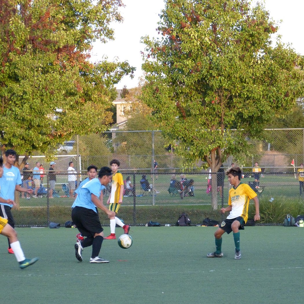 San Ramon Sports Park 2