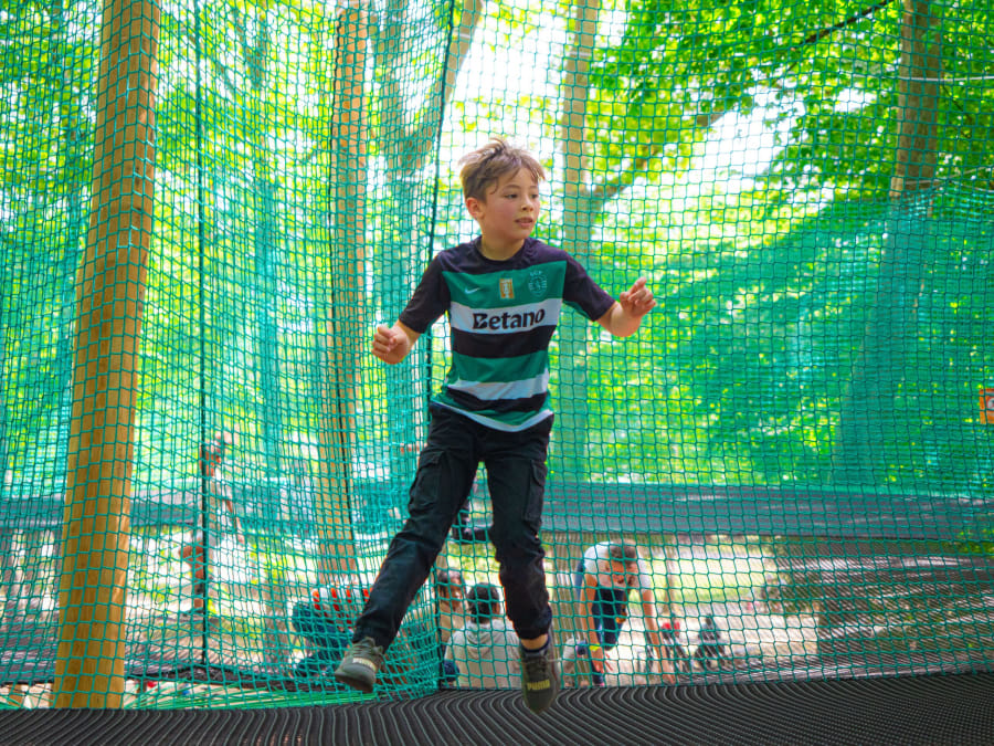 Parc Municipal Des Sports De Sucy 1
