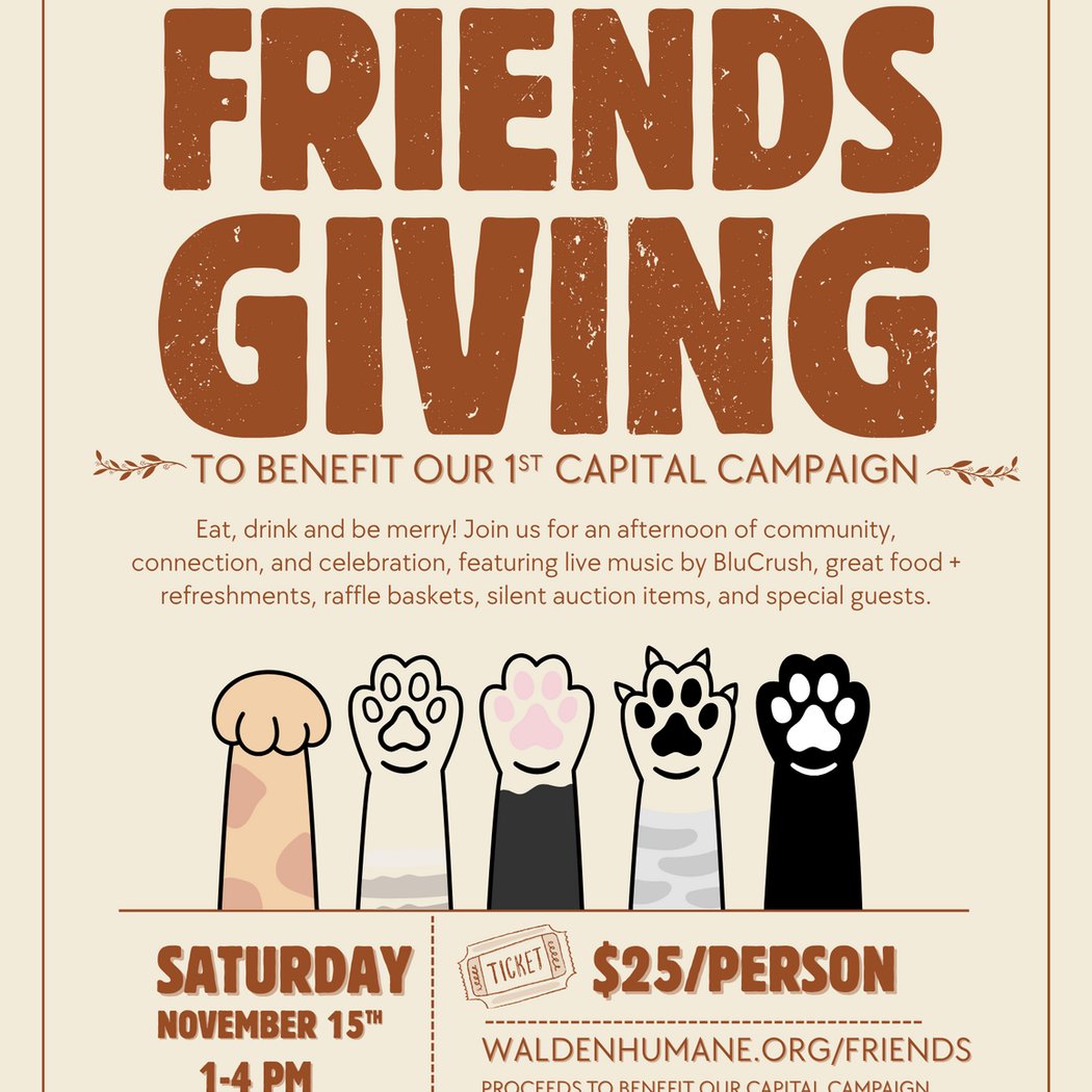 Friends Giving 1