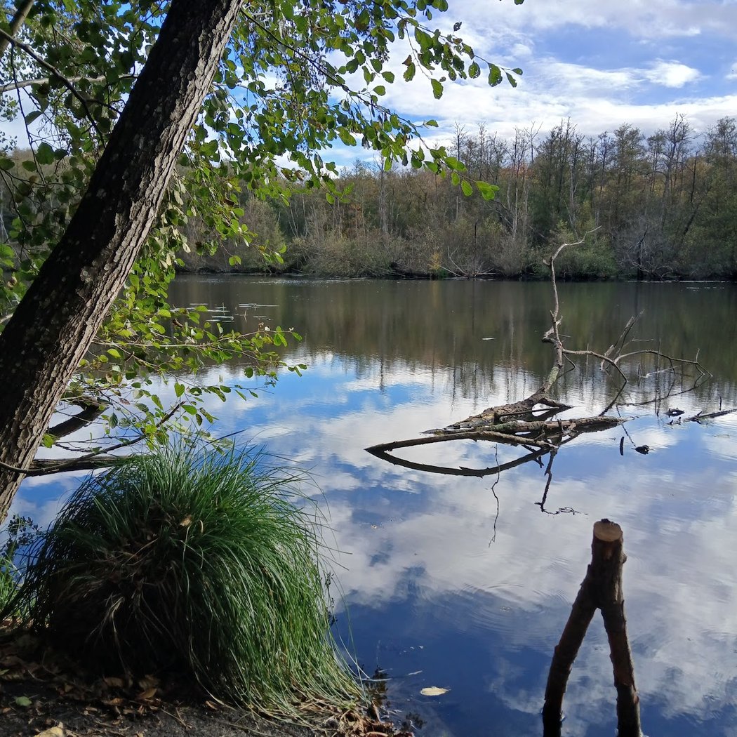 Aux Fil des Moulins 2