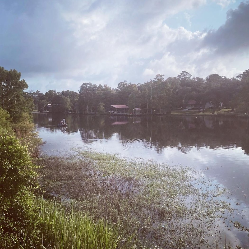 Tammany Trace Bike Trail 3