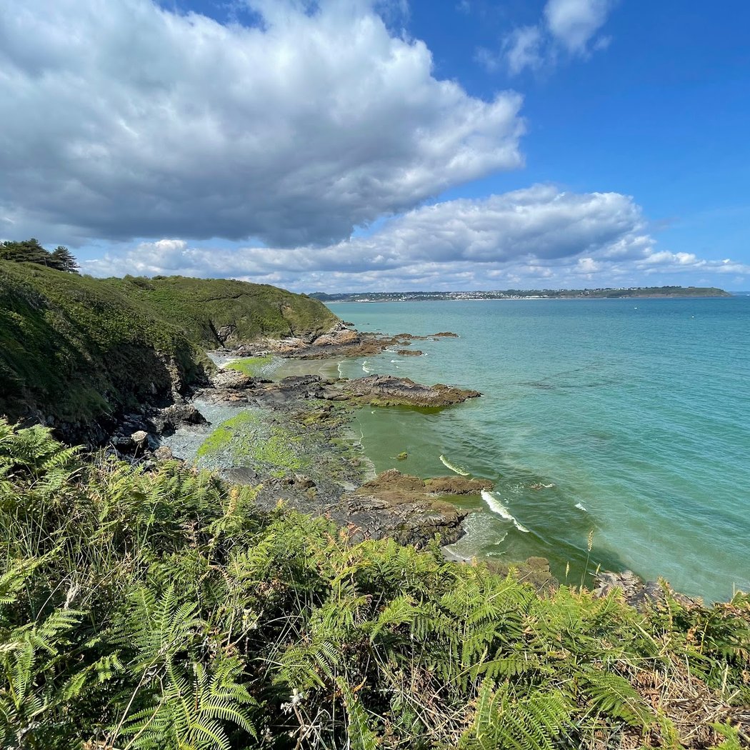 Réserve naturelle nationale de la baie de Saint-Brieuc 2