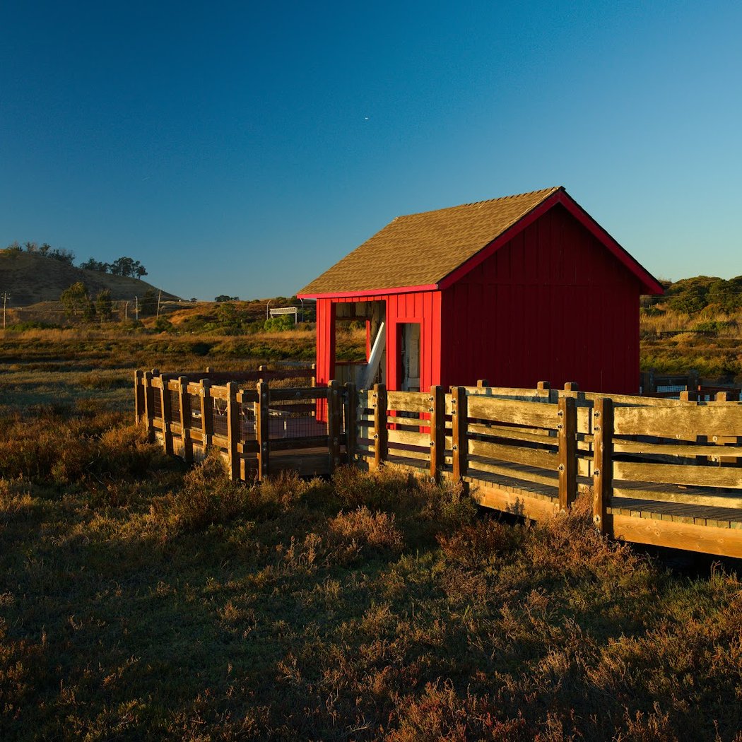 Salt Marsh Walk 1