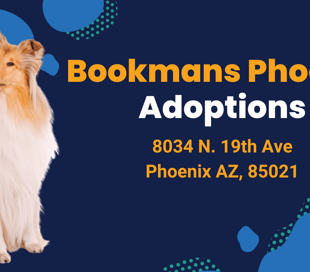 Bookmans Phoenix Adoption Event 1
