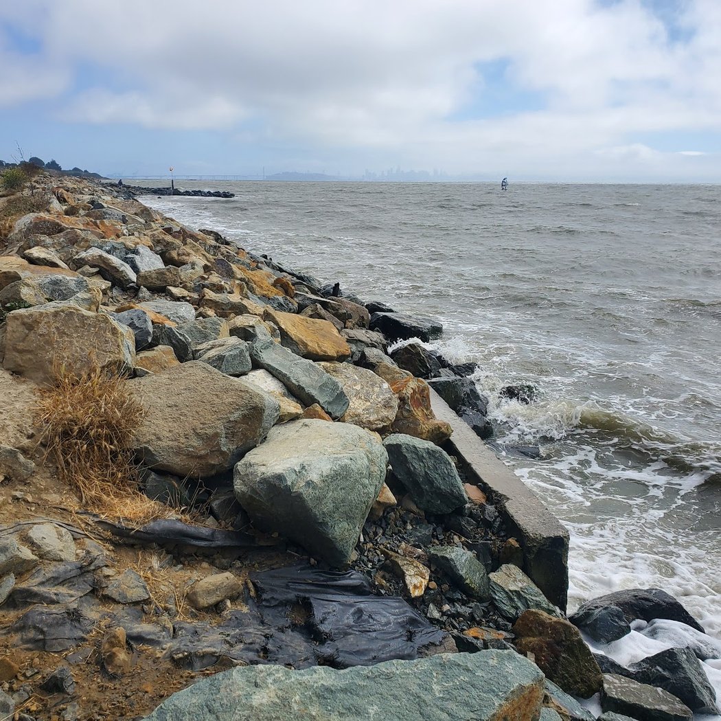 Point Isabel Dog Park 2