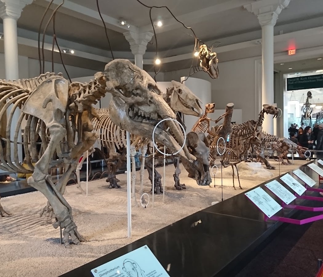 LeFrak Theater - American Museum of Natural History 2