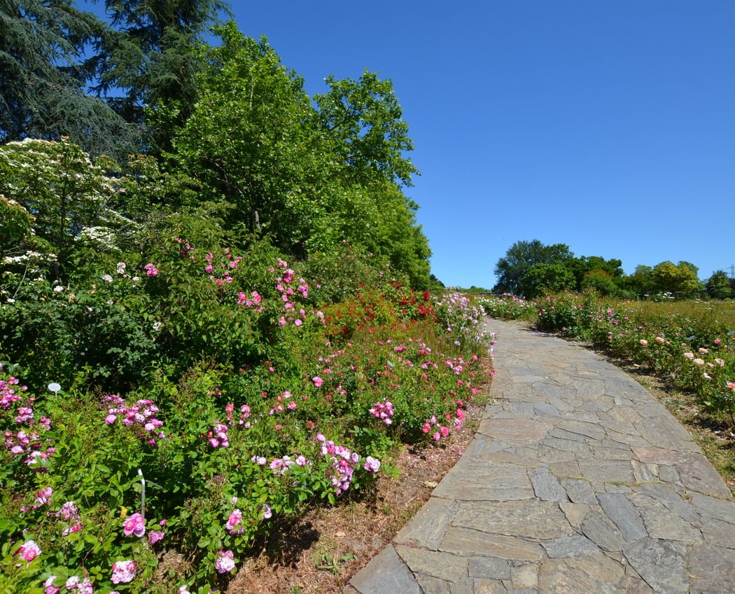 Parc Floral la Roseraie 3