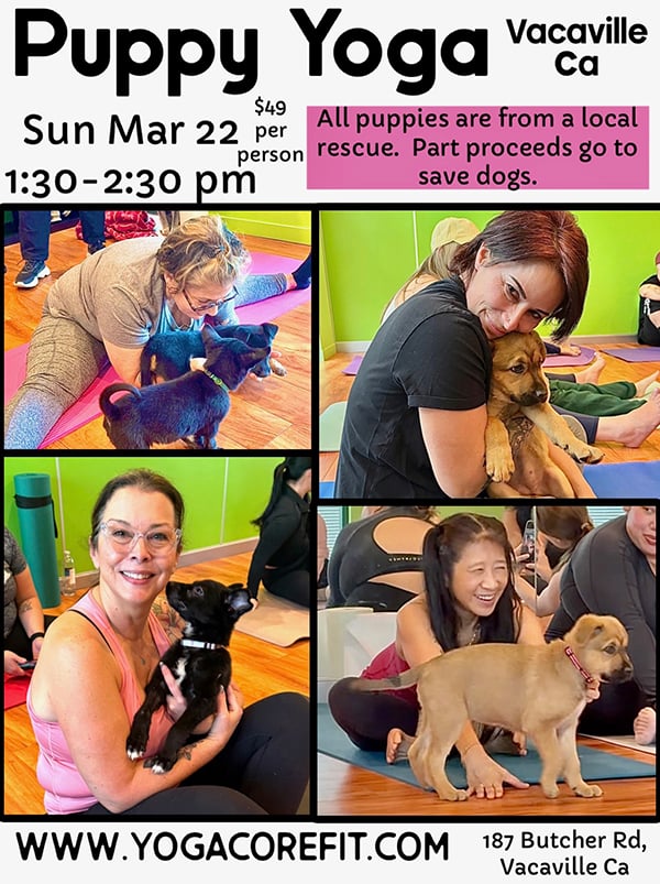 Puppy Yoga 1