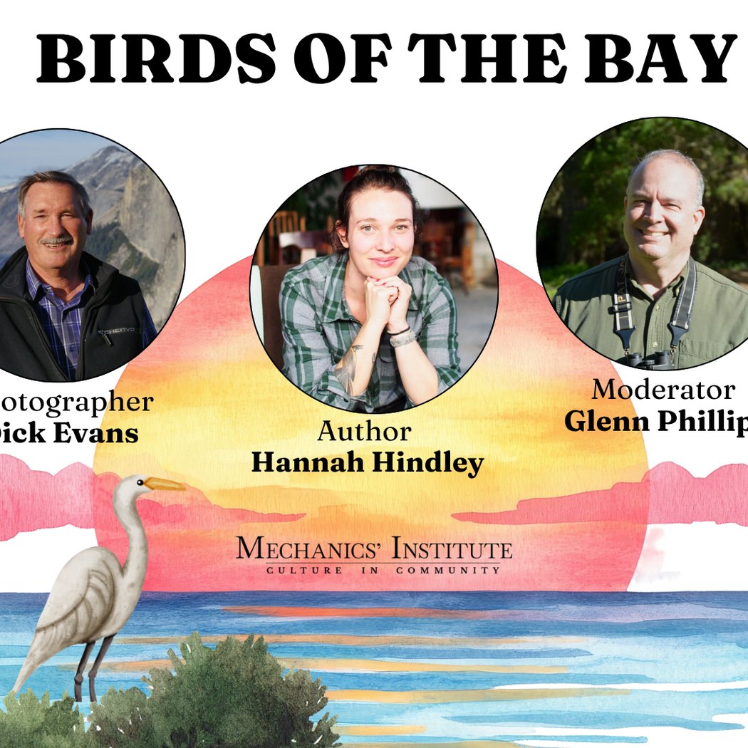 Birds of the Bay Area 1