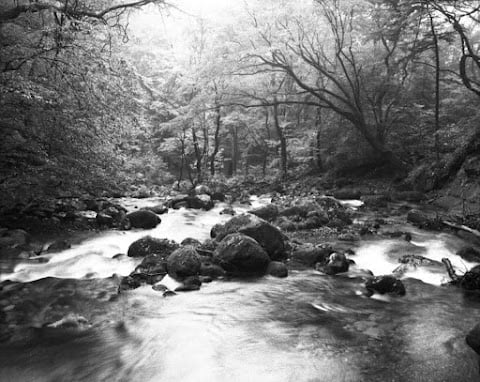 Touch Nature 1