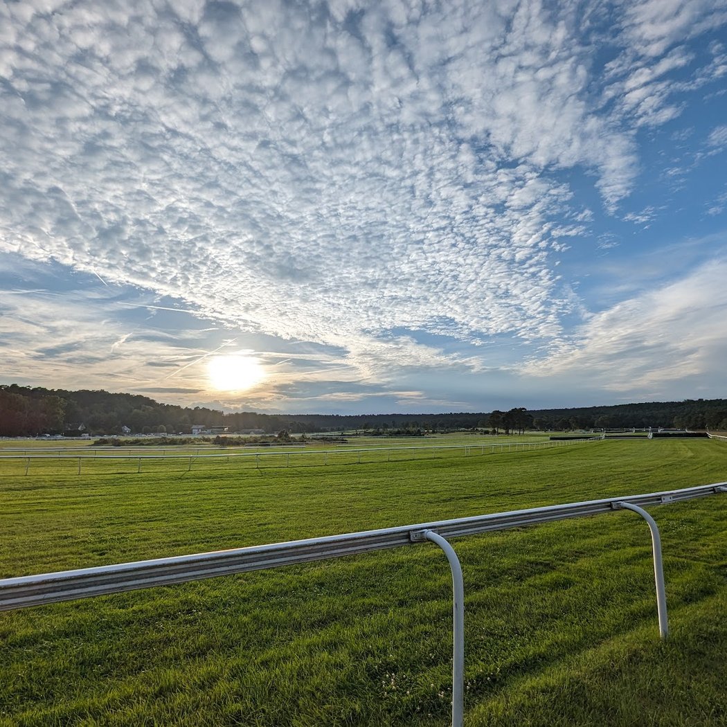 Racecourse of the Solle - Fontainebleau 2