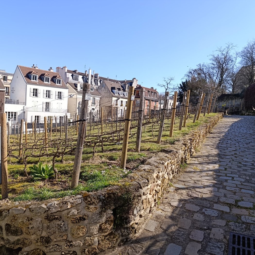 Fête des Vendanges 3