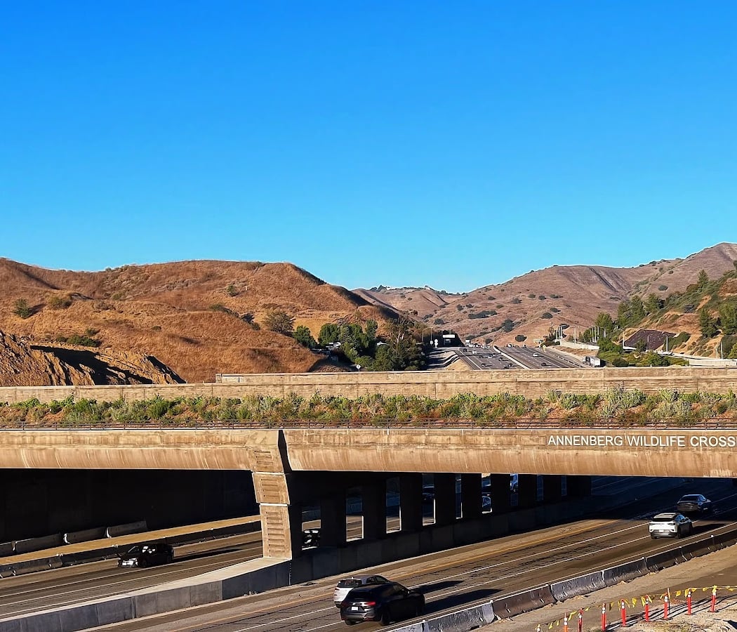 Annenberg Wildlife Crossing 1