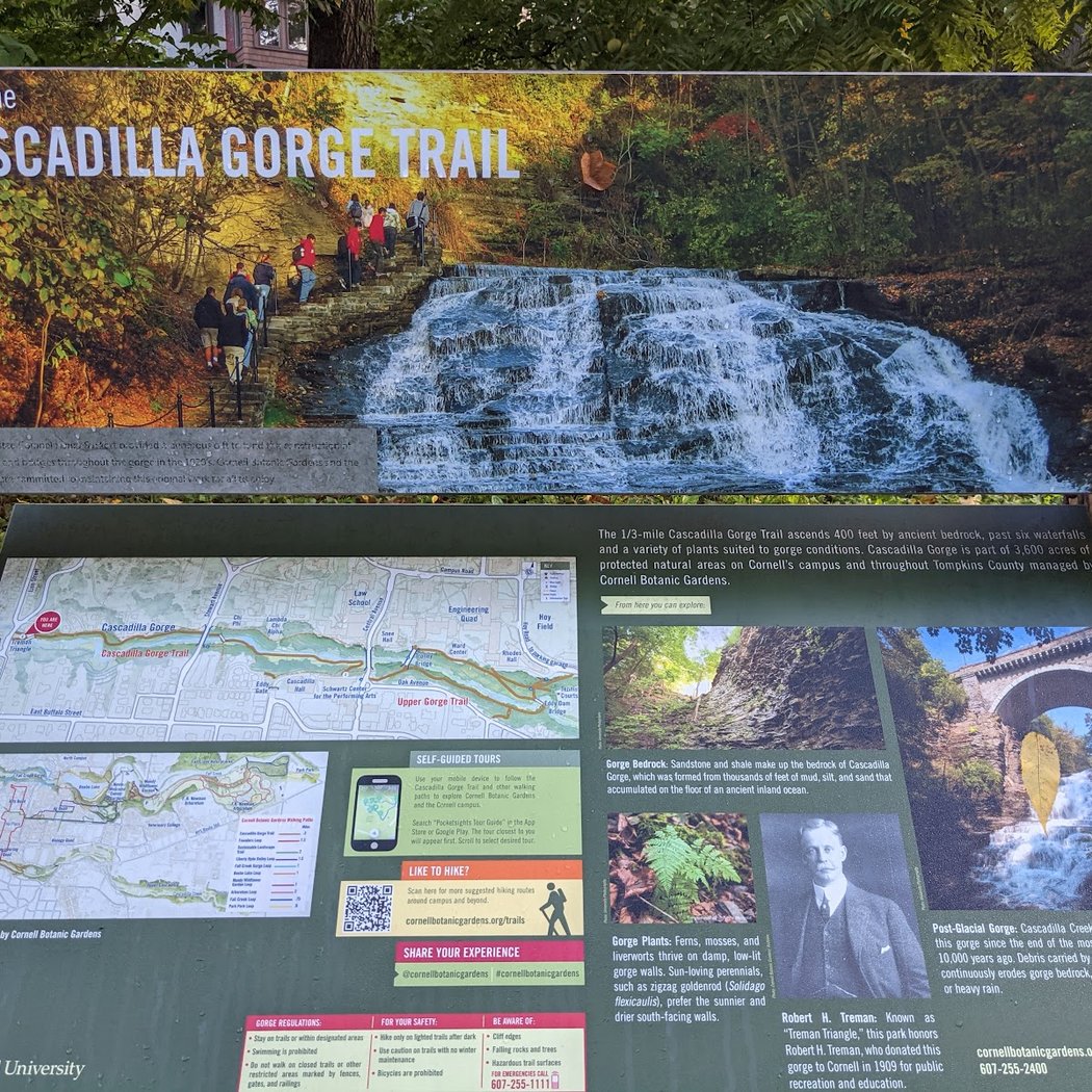 Cascadilla Gorge Trail 3